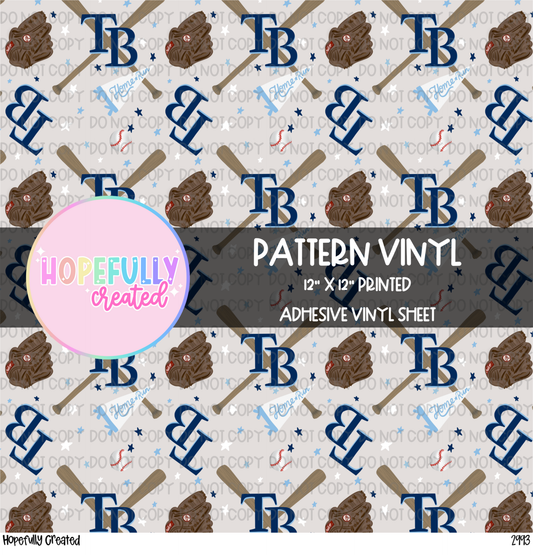 Rays Vinyl Collection- 2993 VIP