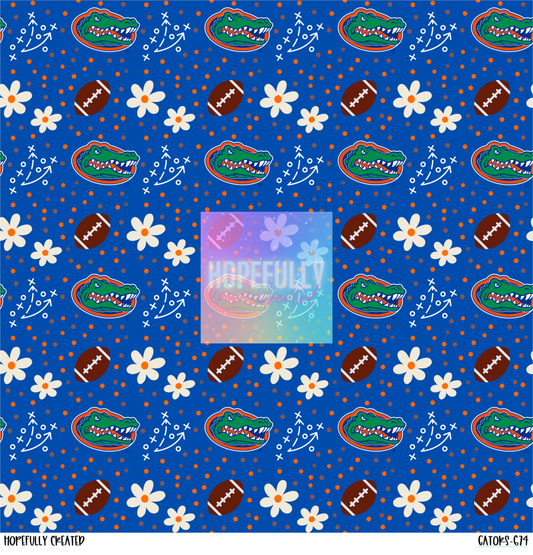 Gators 12x12 - 674 VIP TEAM