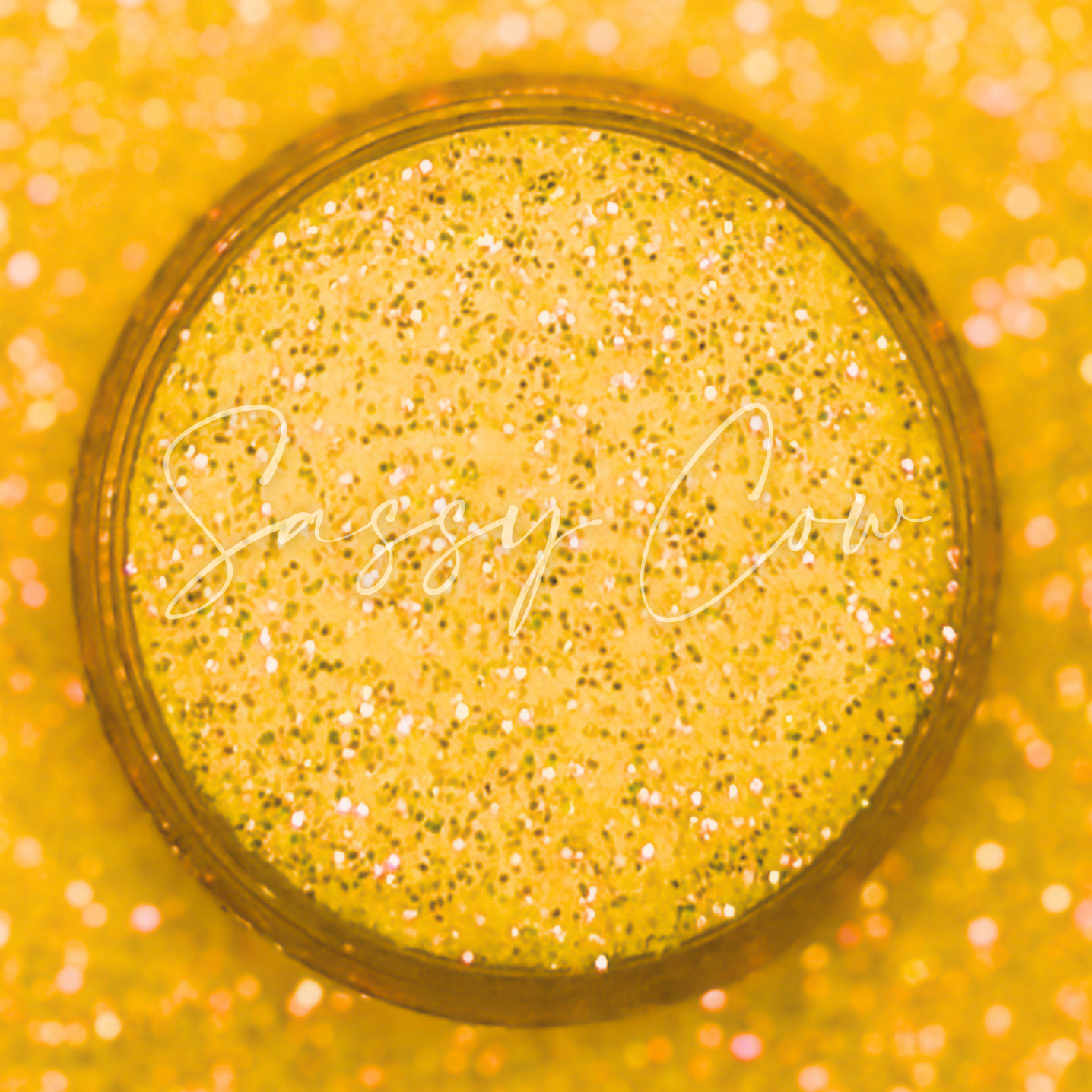THRIFTING - Fine Iridescent Glitter Mix