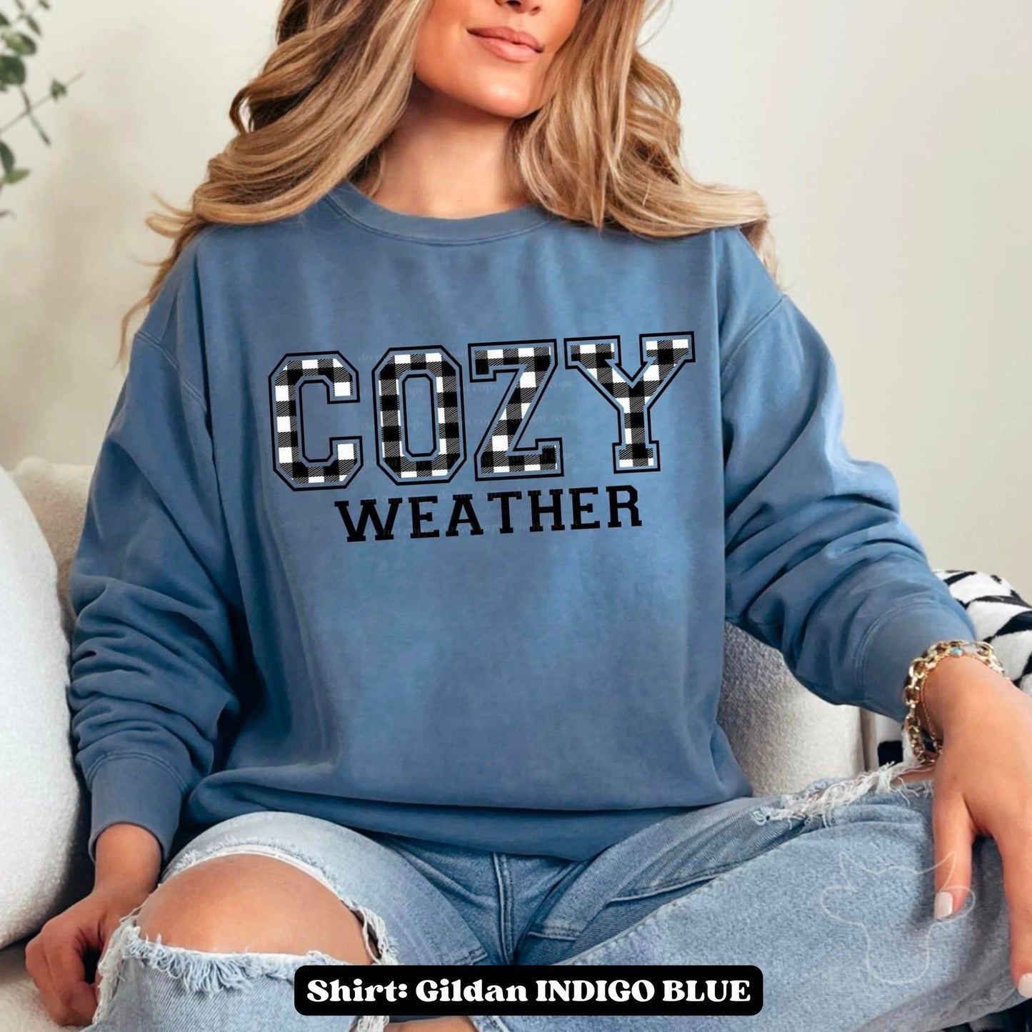 COZY WEATHER Regular DTF Transfer
