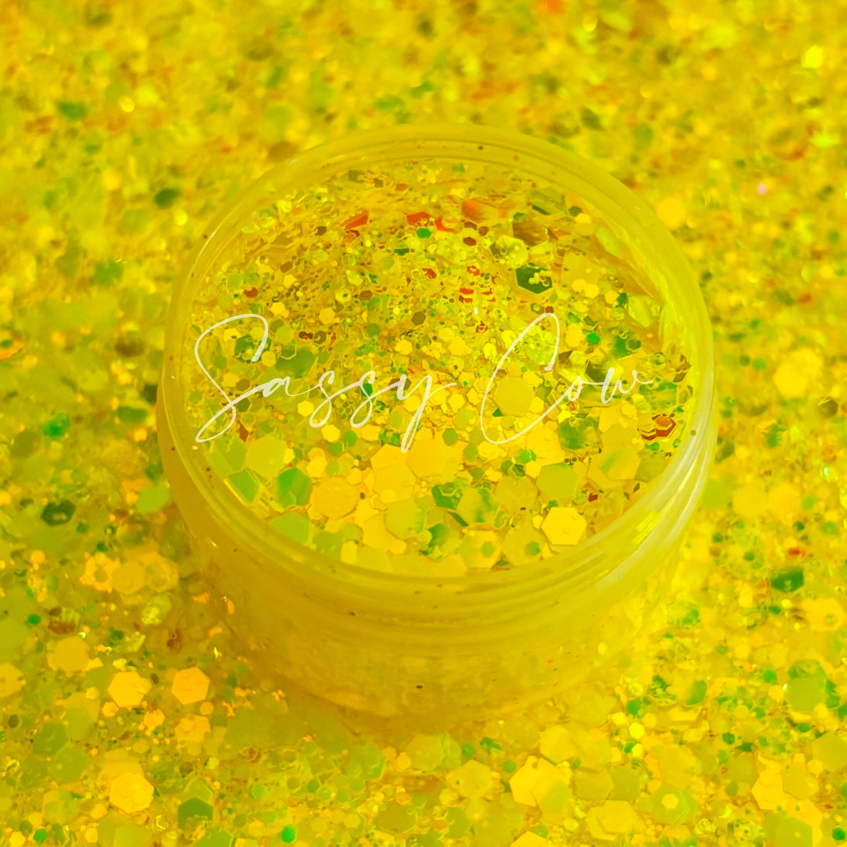 BIKINI BOTTOM - Chunky Color Shift  Glitter Mix