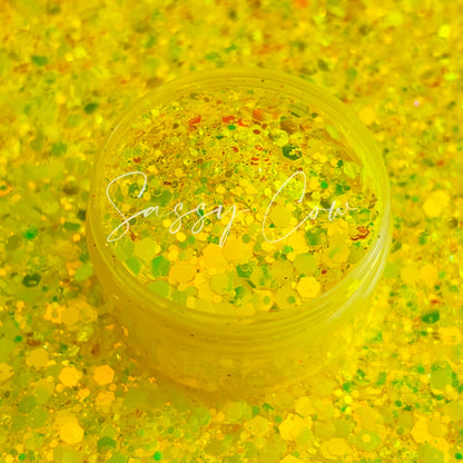 BIKINI BOTTOM - Chunky Color Shift  Glitter Mix