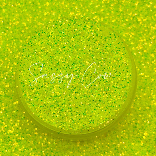TOXIC - Fine Iridescent Glitter Mix