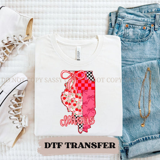 ILLINOIS GIRLY STATE - DTF TRANSFER 082
